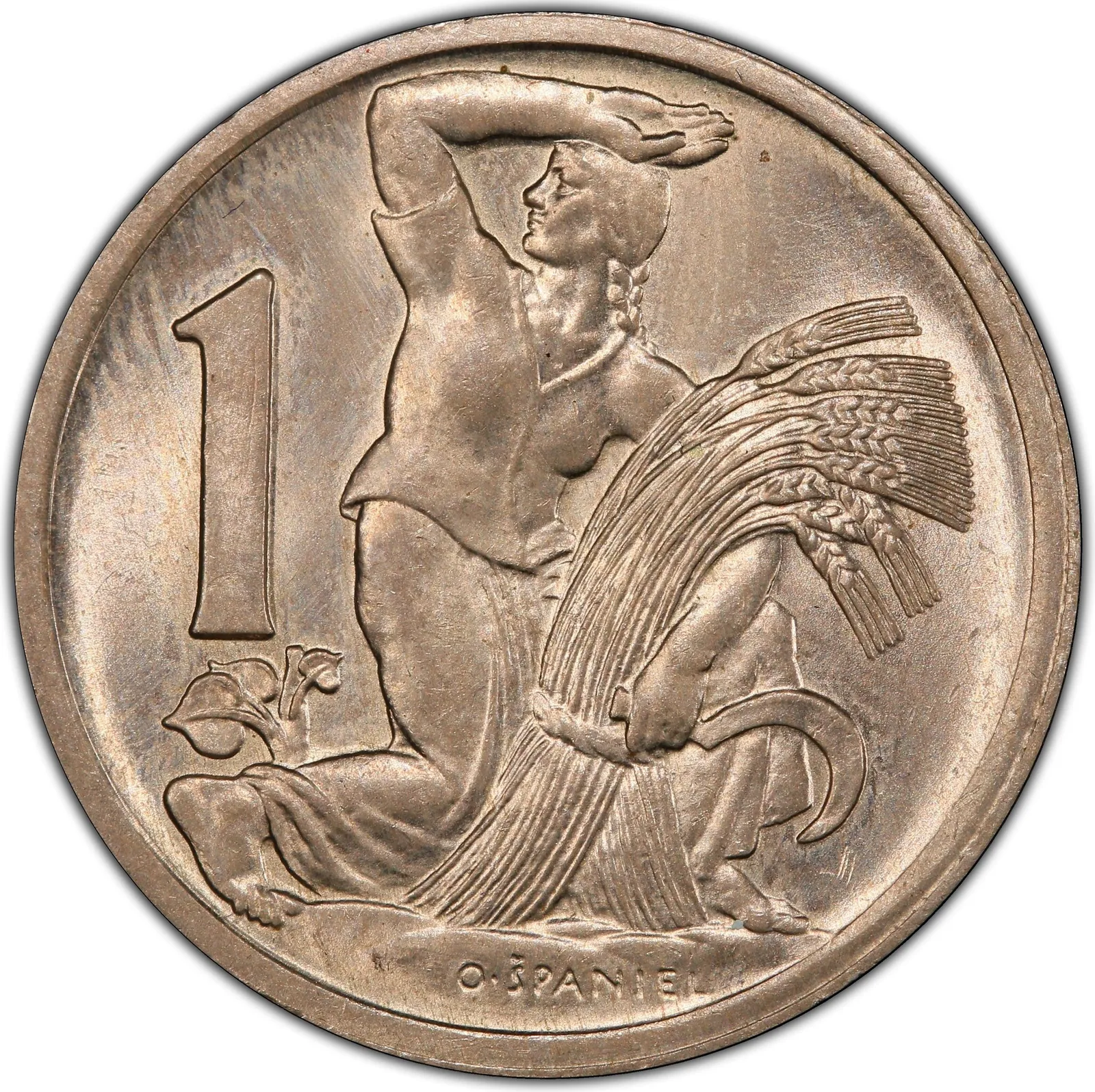 1 Koruna – rub
